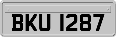 BKU1287