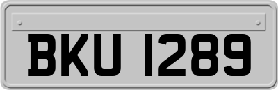 BKU1289