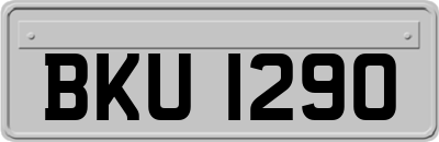 BKU1290