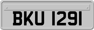 BKU1291
