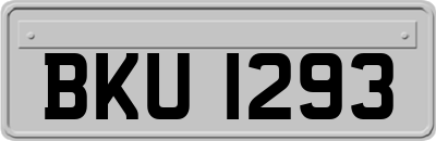 BKU1293