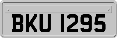 BKU1295