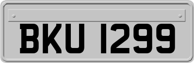 BKU1299