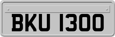 BKU1300