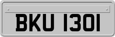 BKU1301