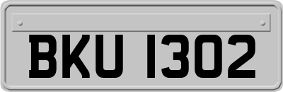 BKU1302