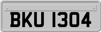 BKU1304