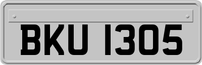 BKU1305