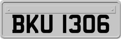 BKU1306