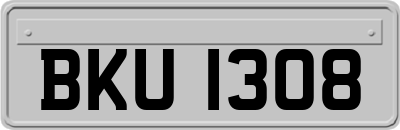 BKU1308