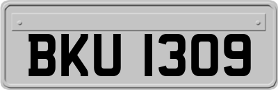 BKU1309