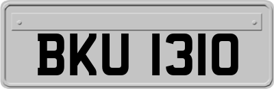 BKU1310