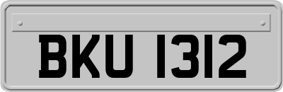 BKU1312