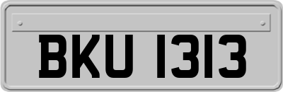 BKU1313