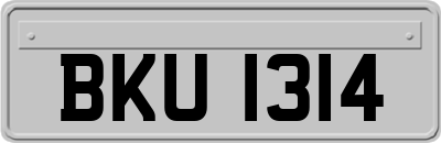 BKU1314