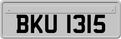 BKU1315