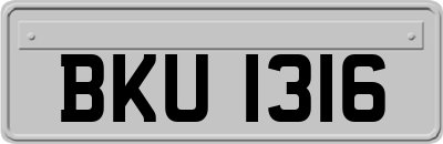 BKU1316