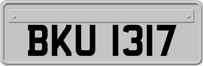 BKU1317