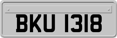BKU1318