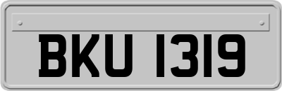 BKU1319