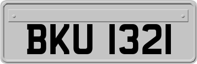 BKU1321