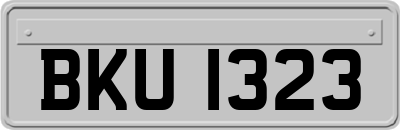 BKU1323