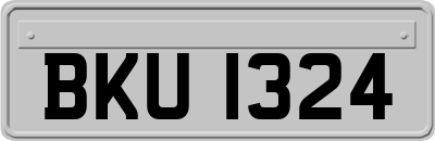 BKU1324