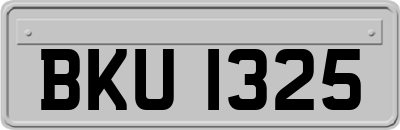 BKU1325