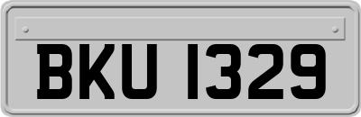 BKU1329