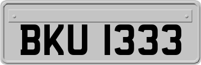BKU1333