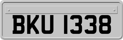 BKU1338
