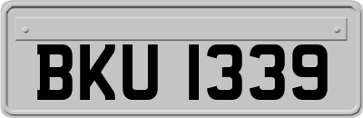 BKU1339