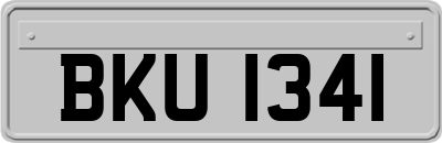 BKU1341