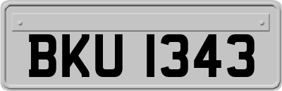 BKU1343