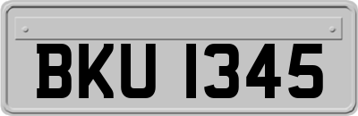 BKU1345