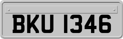 BKU1346
