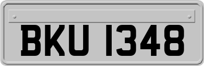 BKU1348