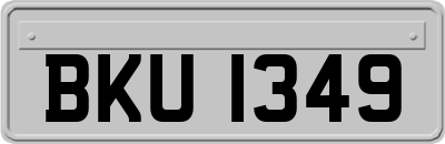BKU1349