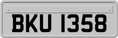 BKU1358