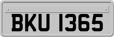 BKU1365