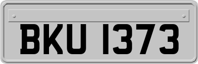 BKU1373