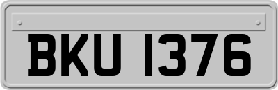 BKU1376