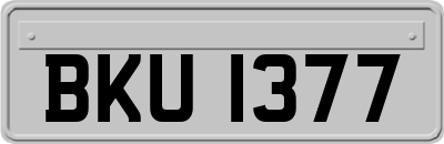 BKU1377