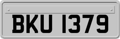 BKU1379