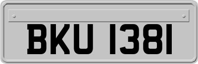 BKU1381