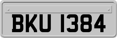 BKU1384