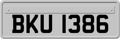 BKU1386