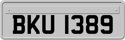 BKU1389
