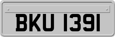 BKU1391