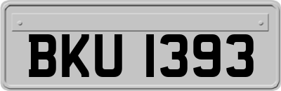 BKU1393